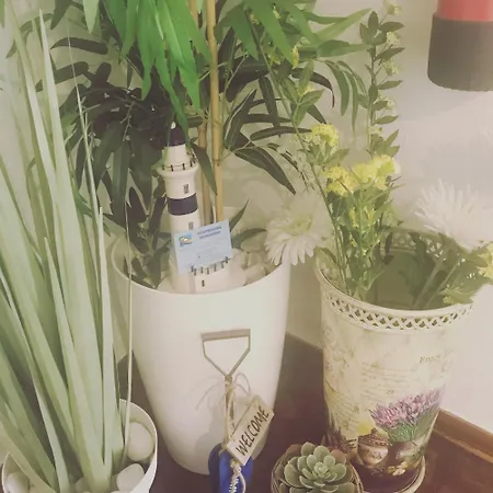 게스트하우스 Bernardo 에리세이라