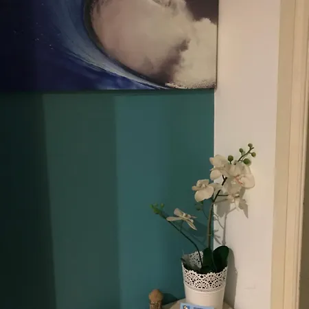 Bernardo 에리세이라