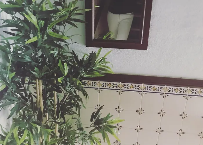 Guest house Hospedaria Bernardo